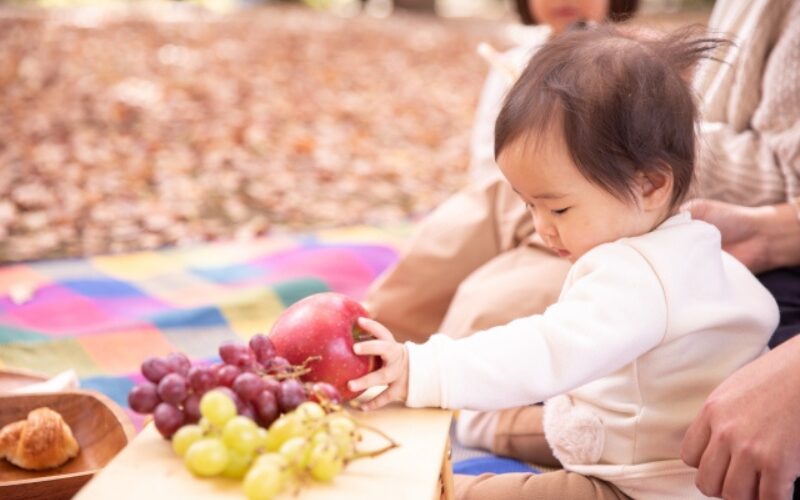 公園で果物を持って家族で食事している姿