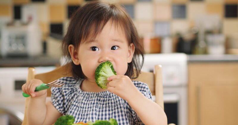 赤ちゃんが手づかみ食べでブロッコリーを食べている様子