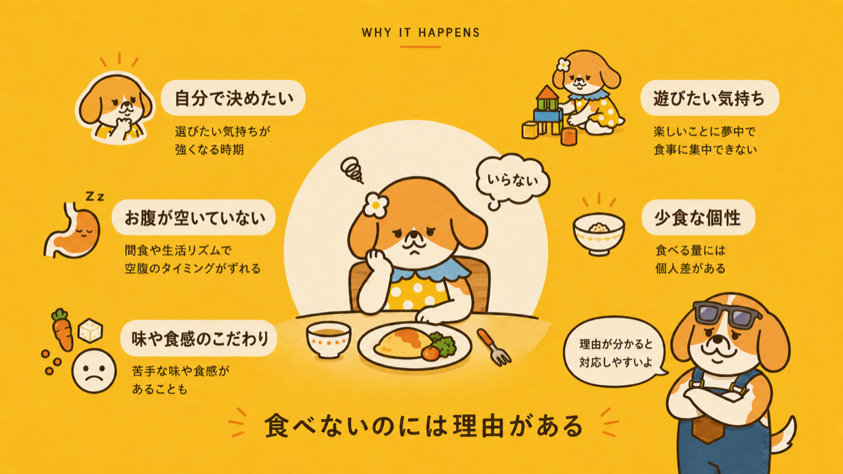 3歳がご飯を食べない主な5つの理由をまとめた図解